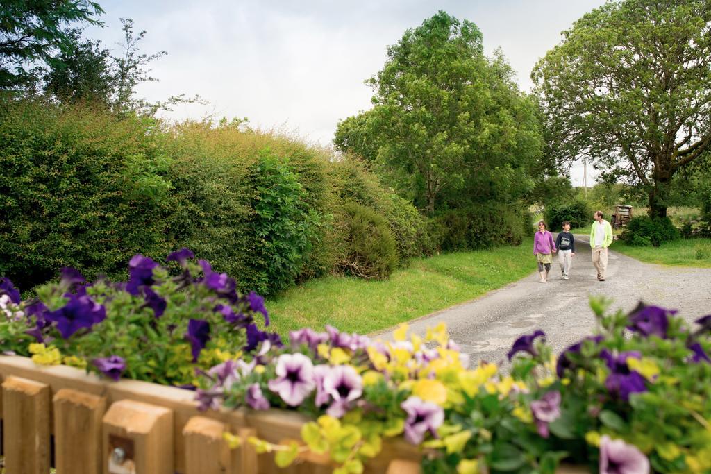 Burren Glamping Βίλα Kilfenora Εξωτερικό φωτογραφία